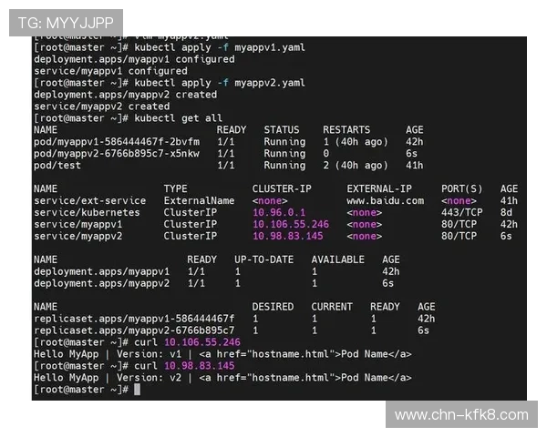 深入探讨觊发k8官网在微服务管理中的应用价值